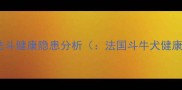 疫情期法斗健康隐患分析法国斗牛犬健康监测