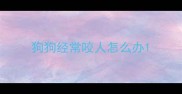 狗狗经常咬人怎么办