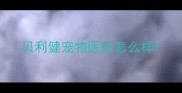 贝利健宠物医院怎么样