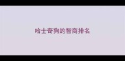 哈士奇狗的智商排名