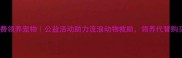 北京免费领养宠物公益活动助力流浪动物救助领养代替购买指南