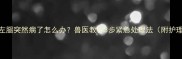 边牧后左腿突然瘸了怎么办兽医教你3步紧急处理法附护理指南