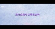 没打疫苗可以带出去吗