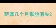 萨摩几个月猴脸消失