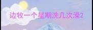 边牧一个星期洗几次澡