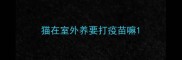 猫在室外养要打疫苗嘛