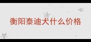 衡阳泰迪犬什么价格