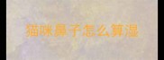 猫咪鼻子怎么算湿