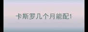 卡斯罗几个月能配