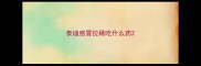 泰迪感冒拉稀吃什么药