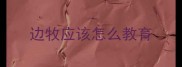 边牧应该怎么教育
