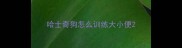 哈士奇狗怎么训练大小便