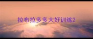 拉布拉多多大好训练
