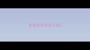 泰迪贵宾犬多少钱