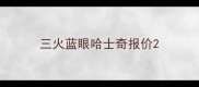 三火蓝眼哈士奇报价