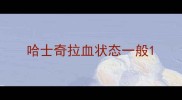 哈士奇拉血状态一般