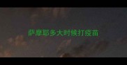 萨摩耶多大时候打疫苗