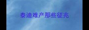 泰迪难产那些征兆