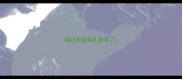 猫扎完疫苗扎到手了