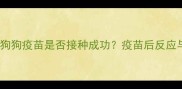 如何正确判断狗狗疫苗是否接种成功疫苗后反应与异常症状全