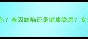 边境牧羊犬尾巴尖无白色基因缺陷还是健康隐患专业饲养指南与解决方案