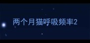 两个月猫呼吸频率