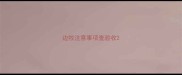 边牧注意事项查验收