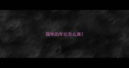 猫咪的年纪怎么算