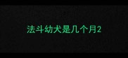 法斗幼犬是几个月