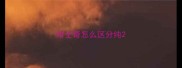 哈士奇怎么区分纯