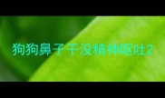 狗狗鼻子干没精神呕吐