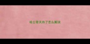 哈士奇天热了怎么解决