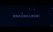 宠物店买狗怎么带回家