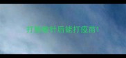 打脱敏针后能打疫苗