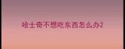 哈士奇不想吃东西怎么办