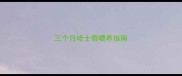 三个月哈士奇喂养指南