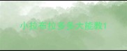 小拉布拉多多大能教