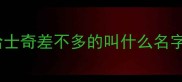 哈士奇差不多的叫什么名字