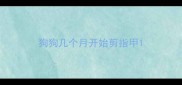 狗狗几个月开始剪指甲