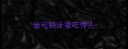 金毛换牙能吃骨头