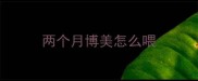 两个月博美怎么喂