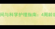 边牧断奶最佳时间与科学护理指南4周龄后如何平稳过渡