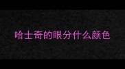 哈士奇的眼分什么颜色