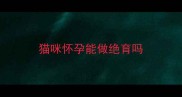 猫咪怀孕能做绝育吗
