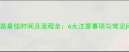 猫咪打疫苗最佳时间及流程全6大注意事项与常见问题解答
