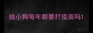 给小狗每年都要打疫苗吗