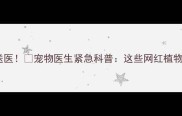 哈士奇误食多肉植物后送医宠物医生紧急科普这些网红植物正在毒害你的毛孩子