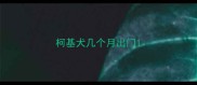 柯基犬几个月出门