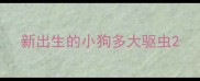 新出生的小狗多大驱虫
