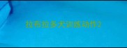 拉布拉多犬训练动作